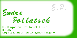 endre pollatsek business card